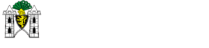 Spitzenstadt.de - Das Online-Magazin im Vogtland