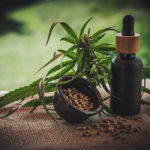 Nützlicher Hanf oder Droge - was ist Cannabis?