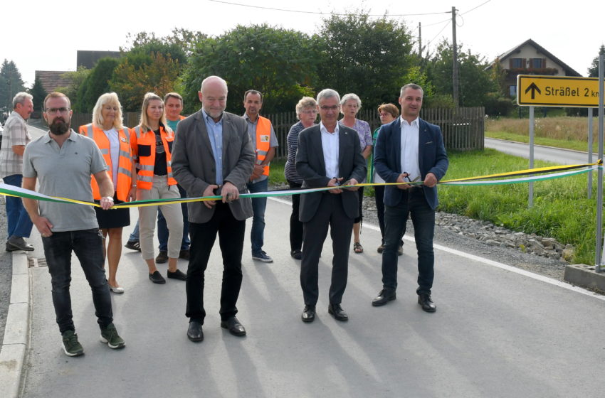 Landrat Rolf Keil (vorn 2.v.r.) weihte gemeinsam mit dem vogtländischen Landtagsabgeordneten Andreas Heinz (3.v.r.) und Adorfs Bürgermeister Rico Schmidt (rechts) die fertiggestellte Straße ein. Foto: Landratsamt