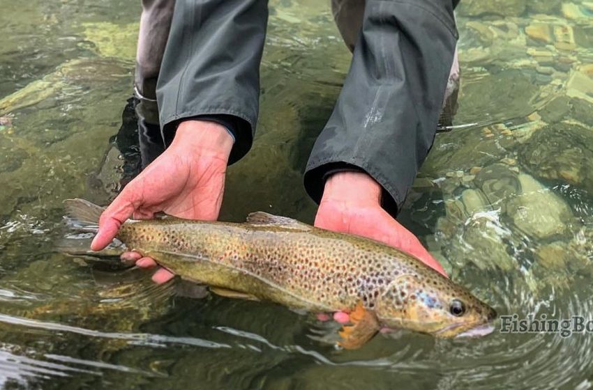 Plauen einer der besten Orte zum Angeln in Deutschland. Foto: FishingBooker.de