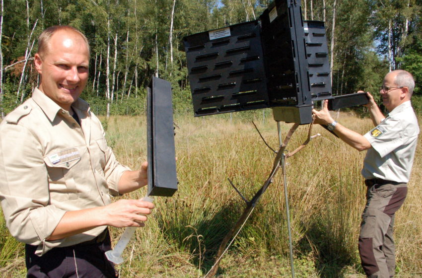 Fallenleerung: Revierförster Forstrevier Auerbach Sebastian Brand (l.) und der Sachgebietsleiter der Forstbehörde Kay Oertel (r.) beim leeren der Fallen. Fotos: Landratsamt