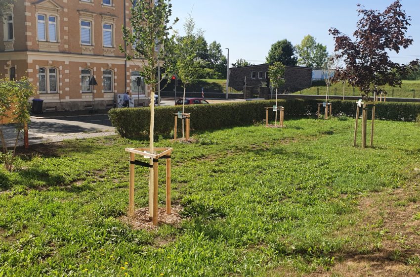 Paten für erste Klimainsel in Plauen gesucht. Foto: Stadt Plauen