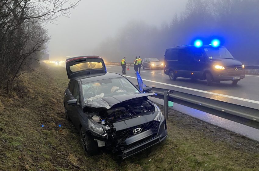 Aus gesundheitlichen Gründen von der Fahrbahn abgekommen. Foto: Polizei