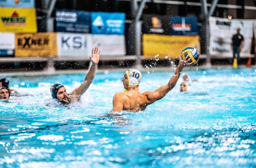 Plauener Wasserballer starten Crowdfunding für die Jugend. Foto: SVV Plauen