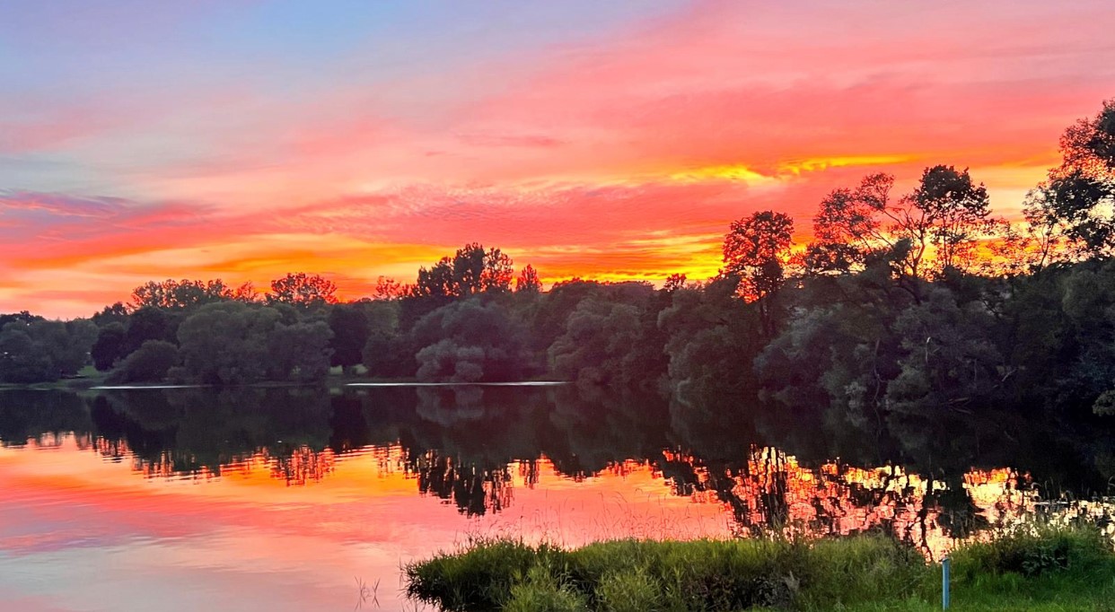 Vogtlandkreis bestätigt Blaualgen in der Talsperre Pirk