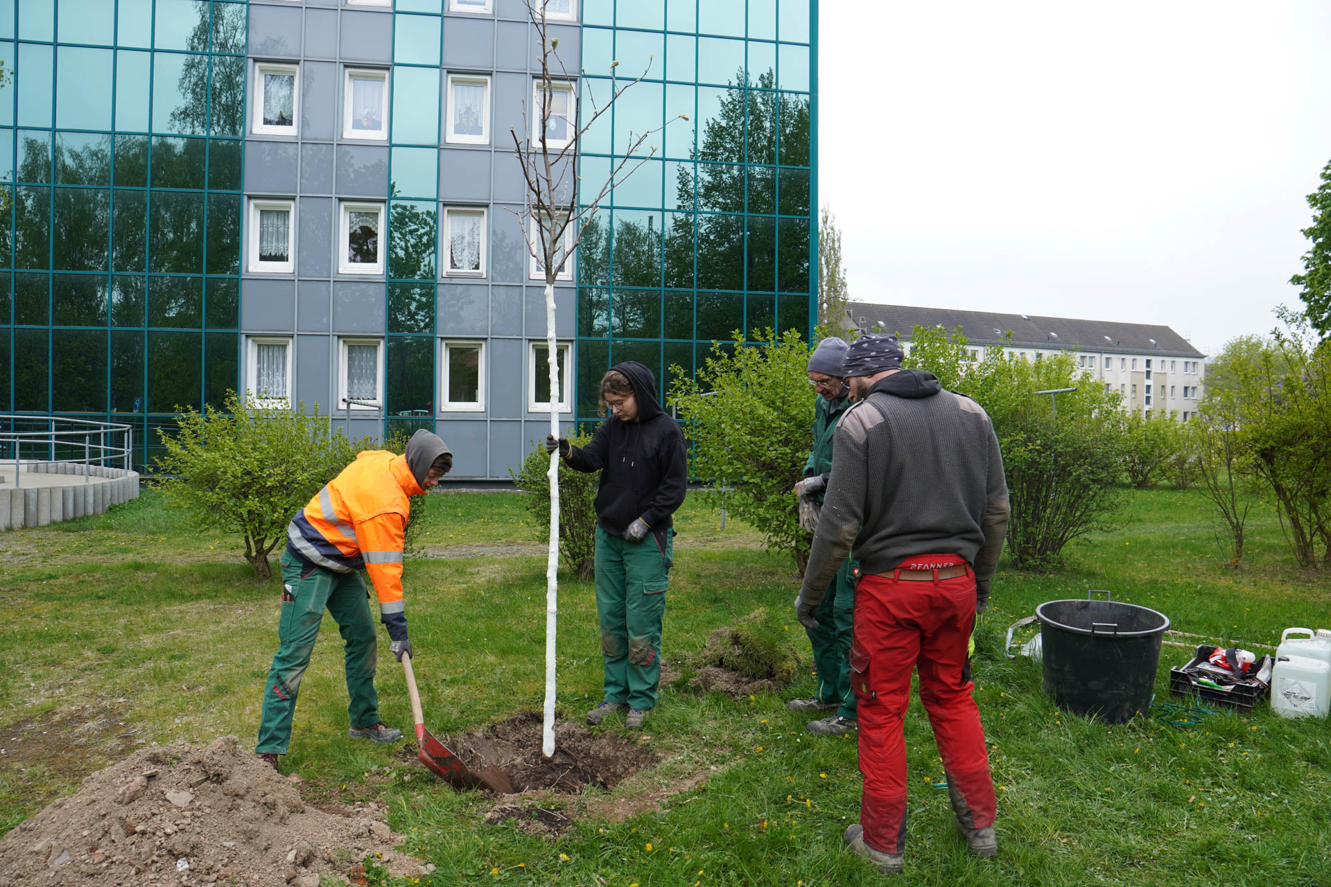 WbG Plauen pflanzt Baum des Jahres