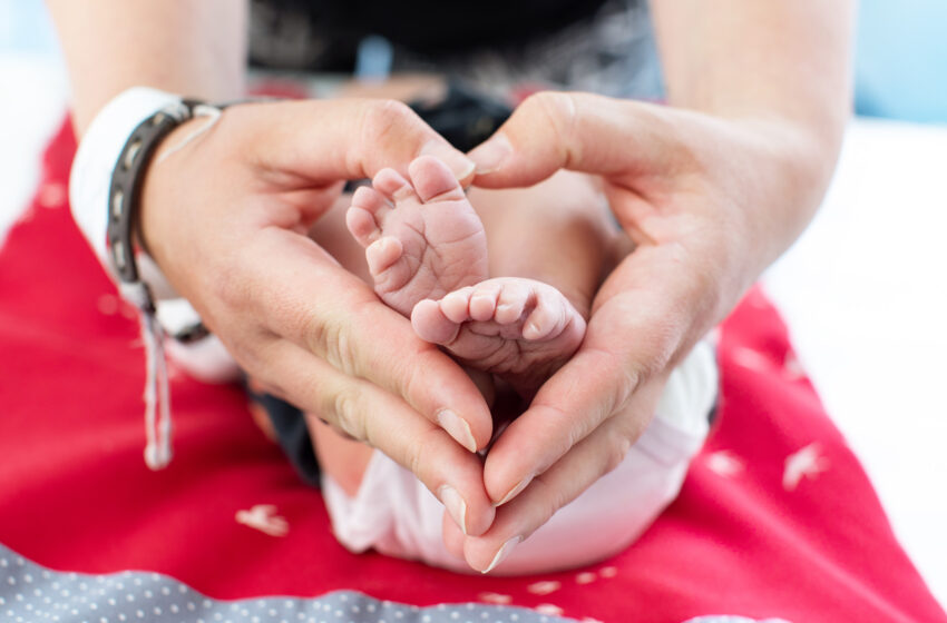 Behütet: Schützend legen Eltern die Hände über ihr Baby. Foto: Thomas Oberländer/Helios Vogtland-Klinikum Plauen