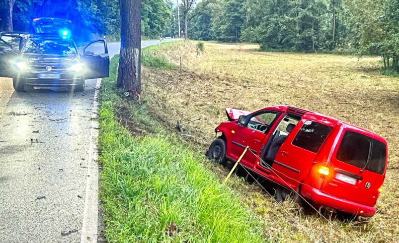 Auto landet bei Plauen in Kuhweide. Foto: S. Höfer