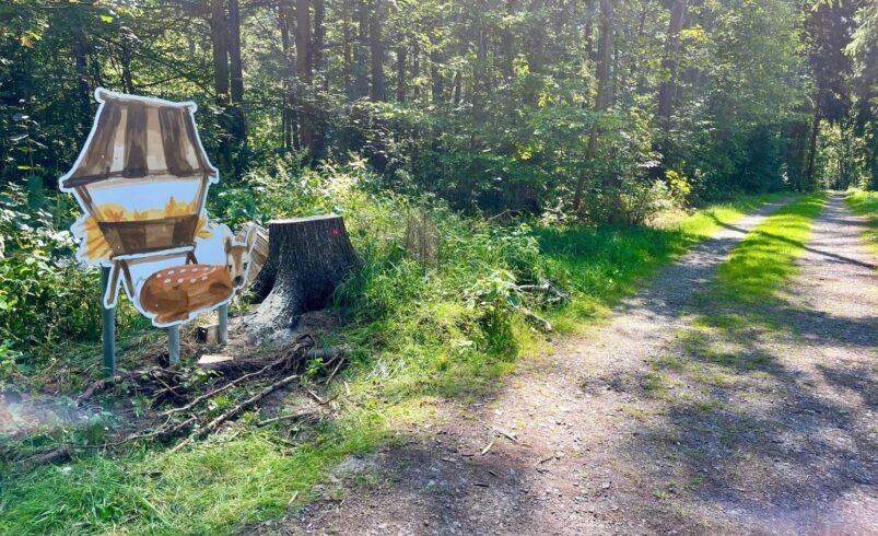 Wichtel ziehen in den Stadtwald