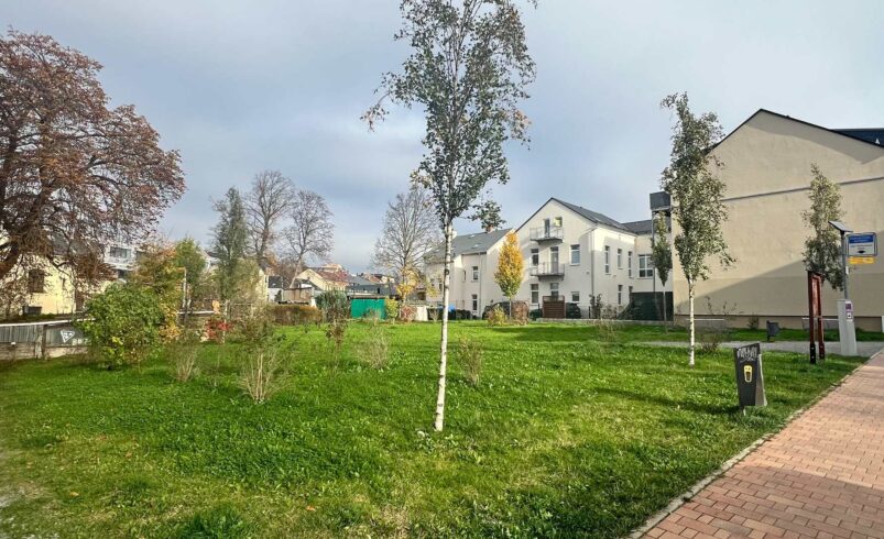 Auf dem Areal an der Bergstraße 5 in Plauen soll eine Calisthenics-Anlage entstehen. Foto: Sebastian Höfer