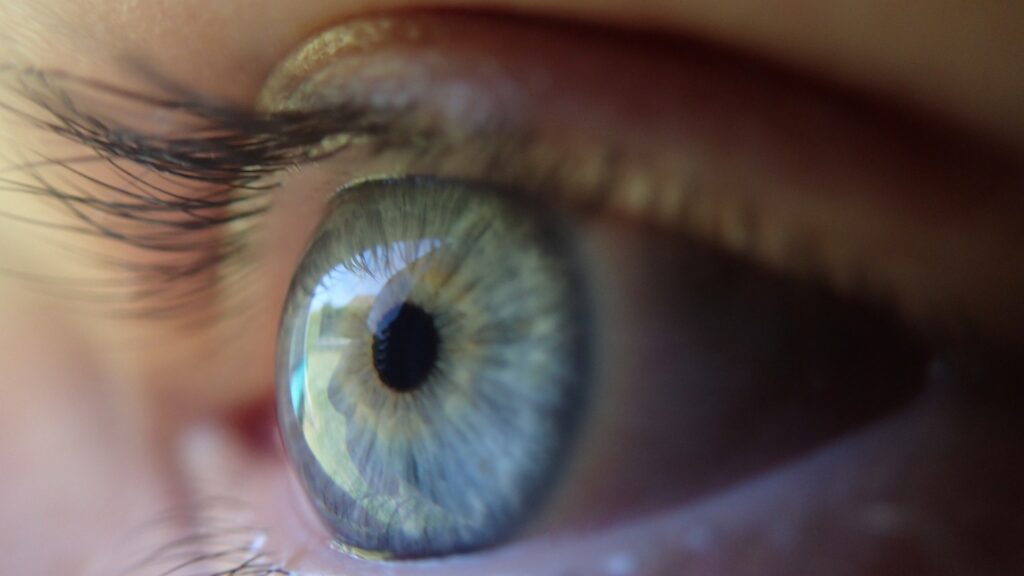 Das Auge ist Teil des visuellen Systems und ermöglicht uns Menschen das Sehen. Foto: Pixabay.com