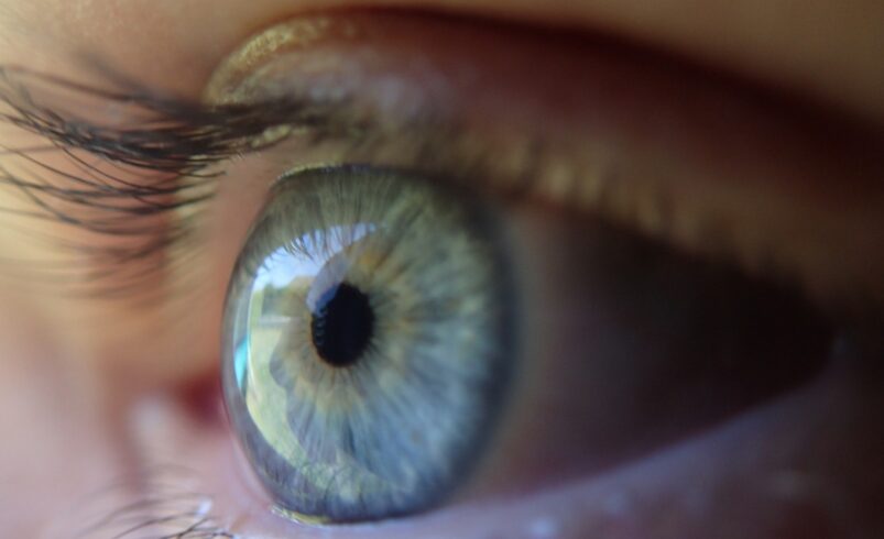 Das Auge ist Teil des visuellen Systems und ermöglicht uns Menschen das Sehen. Foto: Pixabay.com